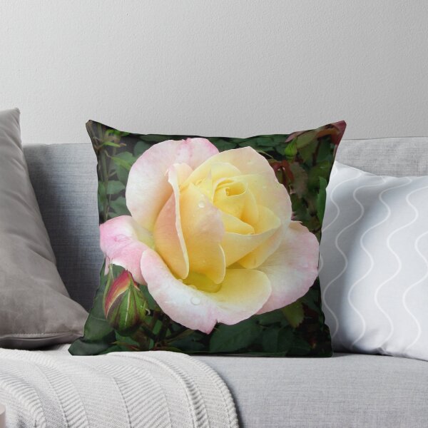 Item preview, Dedicated rose - Abricot Queen Elizabeth designed and sold by bubblehex08.