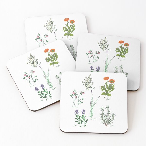 Item preview, Herbarium collecting herbs designed and sold by Luaillustration.