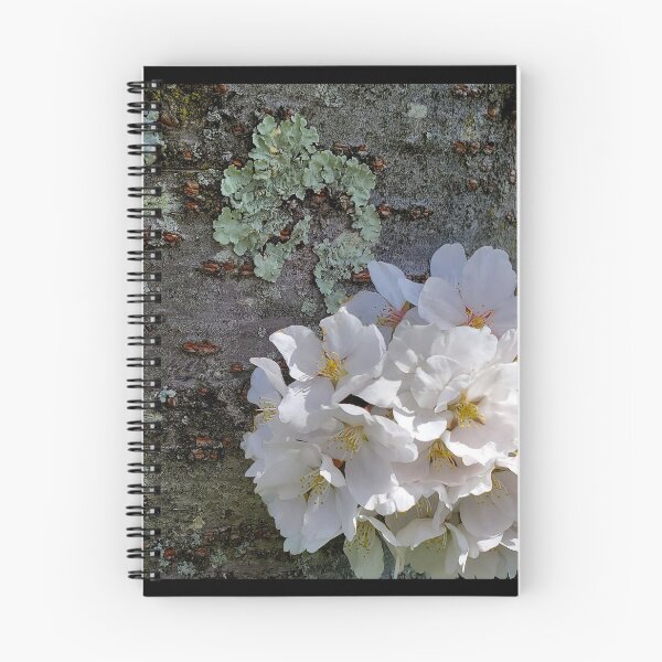 Item preview, Cherry Blossoms and Bark designed and sold by Jeanne Kramer-Smyth.