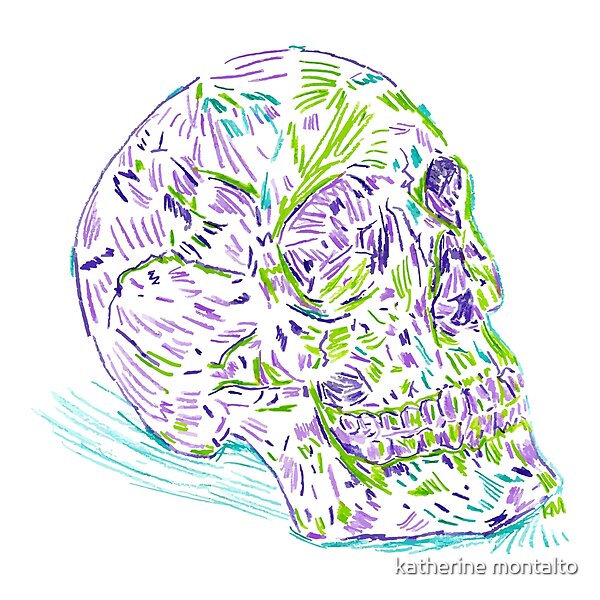 2021 03 skulls human  by katherine montalto | Redbubble