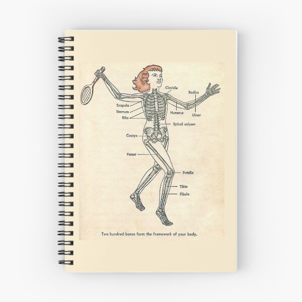 Item preview, Skeleton Diagram Artwork designed and sold by thebcarts.
