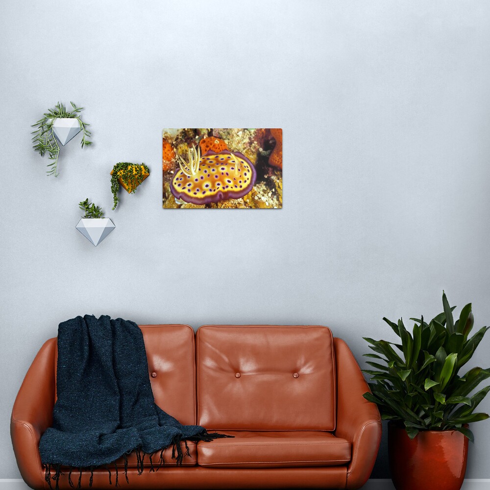 Blueberry pancake Metal Print