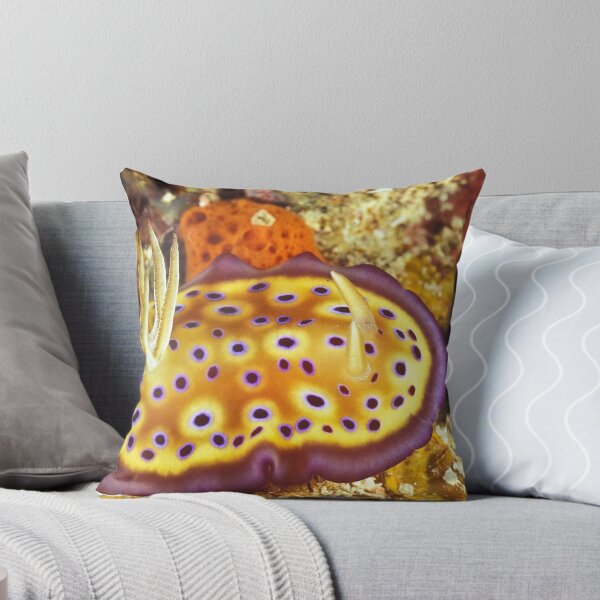 Item preview, Blueberry pancake designed and sold by David Wachenfeld.