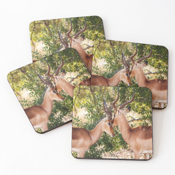Item preview, Protect all Animals  designed and sold by 7AJA.