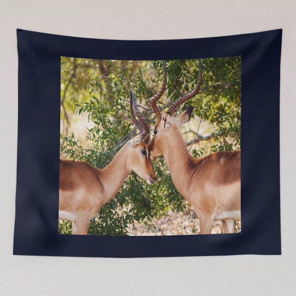 Item preview, Protect all Animals  designed and sold by 7AJA.