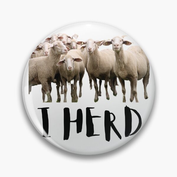 Item preview, I Herd. Sheep. Photo, Black Text designed and sold by JellyBeenzz.
