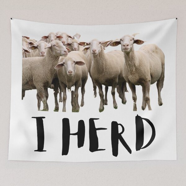 Item preview, I Herd. Sheep. Photo, Black Text designed and sold by JellyBeenzz.