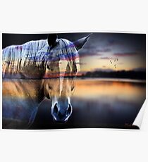 horse Poster