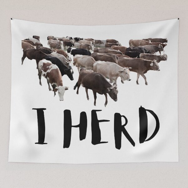 Item preview, I Herd. Cows. Cattle. Photo, Black Text designed and sold by JellyBeenzz.