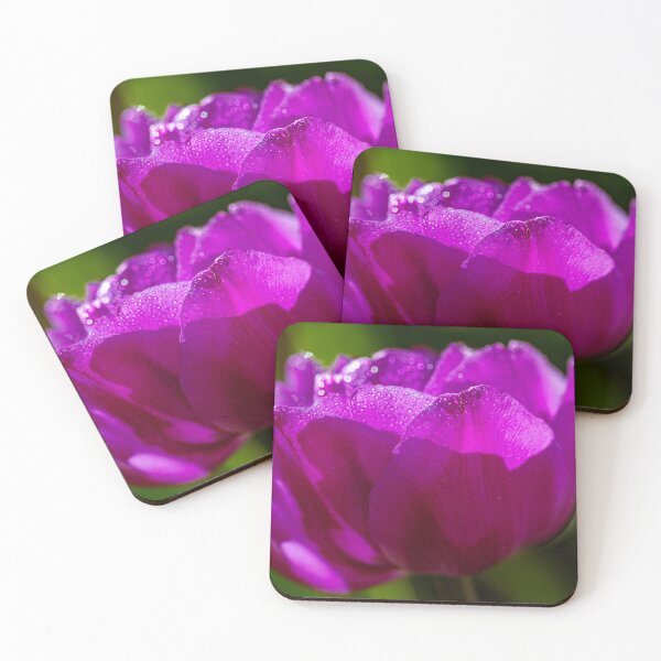 Item preview, Tulip In Sunlight designed and sold by jillianbutolphphoto.