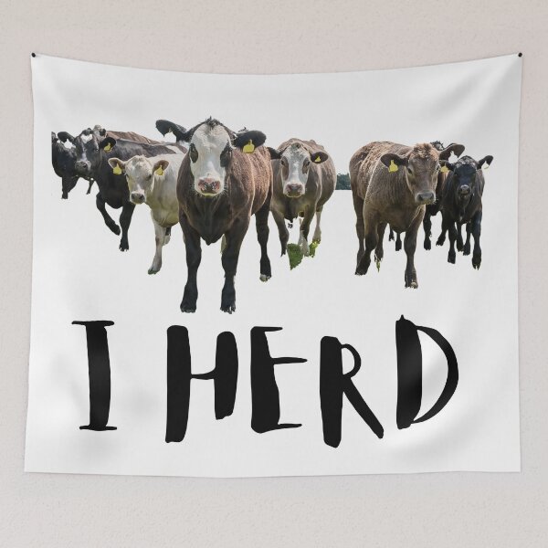 Item preview, I Herd. Cows. Cattle. Brown. Photo, Black Text designed and sold by JellyBeenzz.