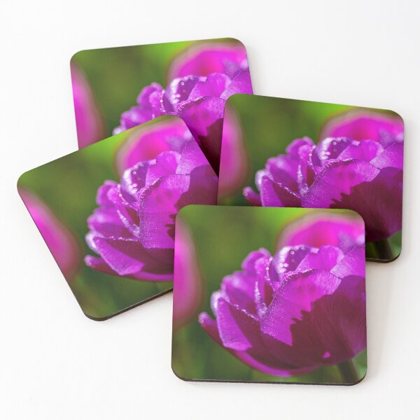 Item preview, Group of purple tulips designed and sold by jillianbutolphphoto.