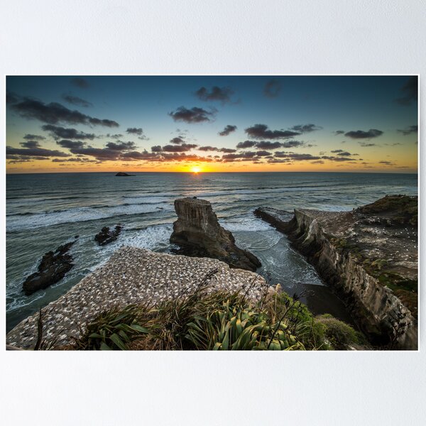 Item preview, Gannet Colony Sunset designed and sold by Shaun Jeffers Photography.