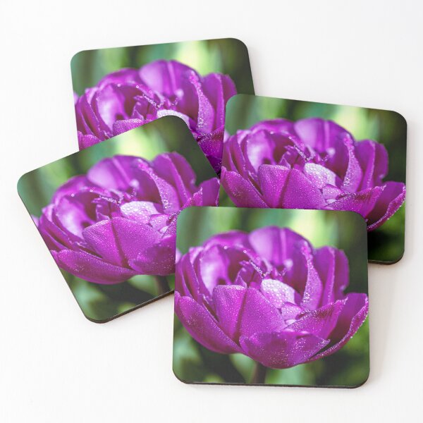 Item preview, Dewdrops on a purple tulip designed and sold by jillianbutolphphoto.