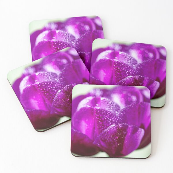 Item preview, Dewdrops on a purple tulip designed and sold by jillianbutolphphoto.