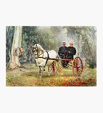 Bushland Poppies Photographic Print