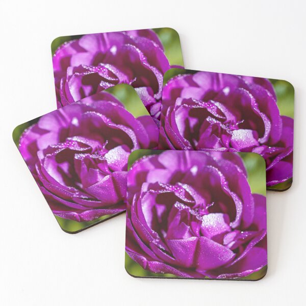 Item preview, Beautiful purple tulip designed and sold by jillianbutolphphoto.
