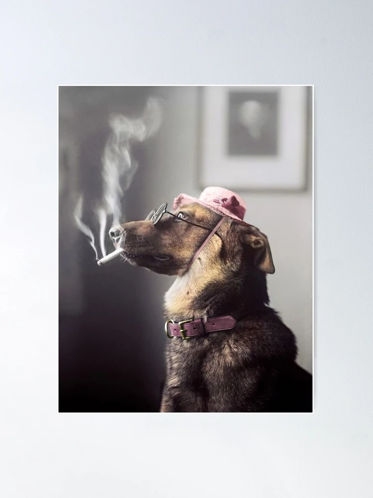 dogs smoking cigarettes Vintage Animal Canvas Wall Art Funny Dog Cigarette Drink Beer Poster Retro Abstract Mallard Pet Pictures Prints Painting For Home Bedroom Living Room Bar Wall Decor 12x16in Unframed: Posters & Cigarette Dog Toy Large, Funny