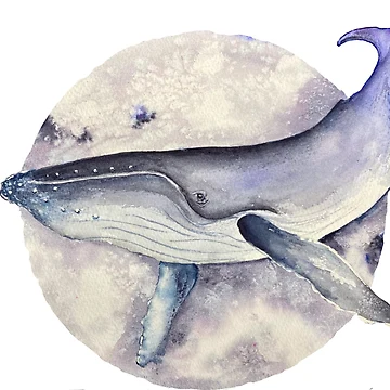 Artwork thumbnail, Moonwhaling without background  by JavaLisa