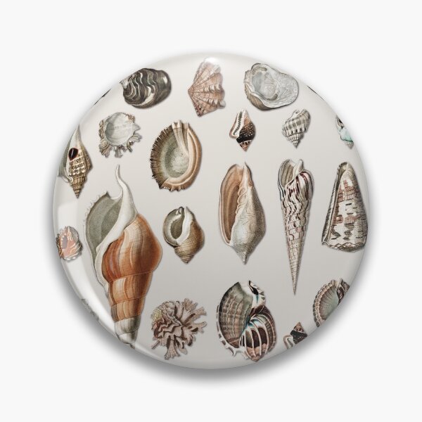 Item preview, Vintage Seashells Mollusc Marine Beach Snail Shell    designed and sold by Gsallicat.