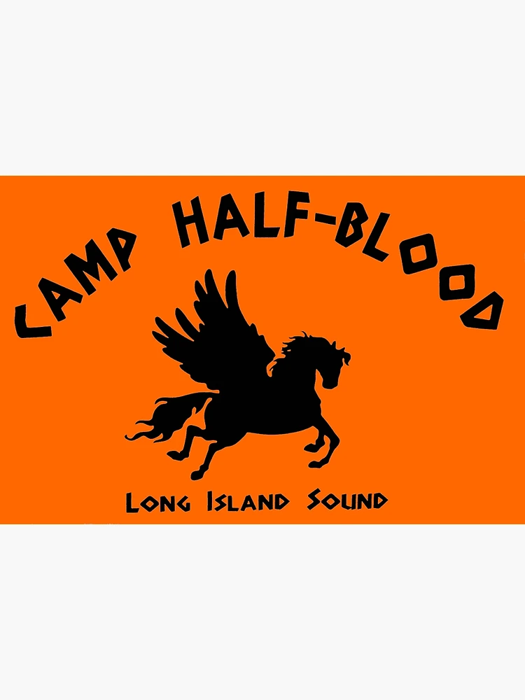 haha suh dude — CAMP HALF-BLOOD, Brand exploration