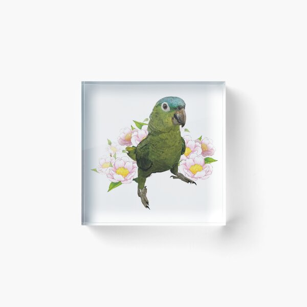 Item preview,  blue-crowned parrot designed and sold by obscurite.