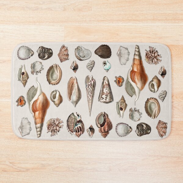 Item preview, Vintage Seashells Mollusc Marine Beach Snail Shell    designed and sold by Gsallicat.