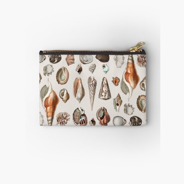 Item preview, Vintage Seashells Mollusc Marine Beach Snail Shell    designed and sold by Gsallicat.