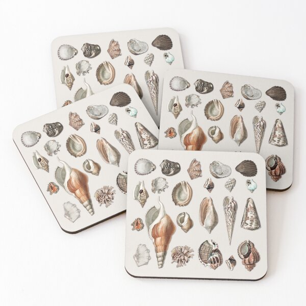 Item preview, Vintage Seashells Mollusc Marine Beach Snail Shell    designed and sold by Gsallicat.