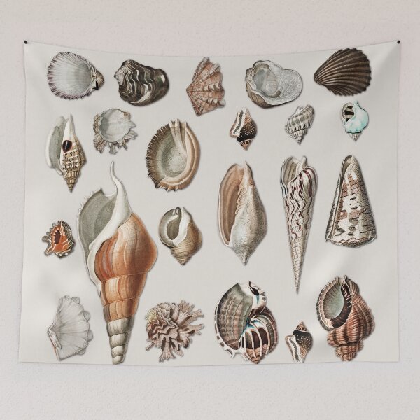Item preview, Vintage Seashells Mollusc Marine Beach Snail Shell    designed and sold by Gsallicat.