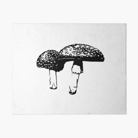 Black And White Mushroom Art Board Prints for Sale