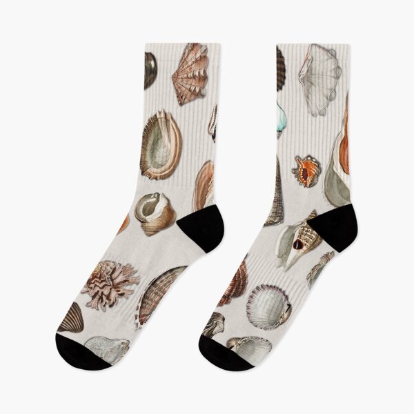 Item preview, Vintage Seashells Mollusc Marine Beach Snail Shell    designed and sold by Gsallicat.