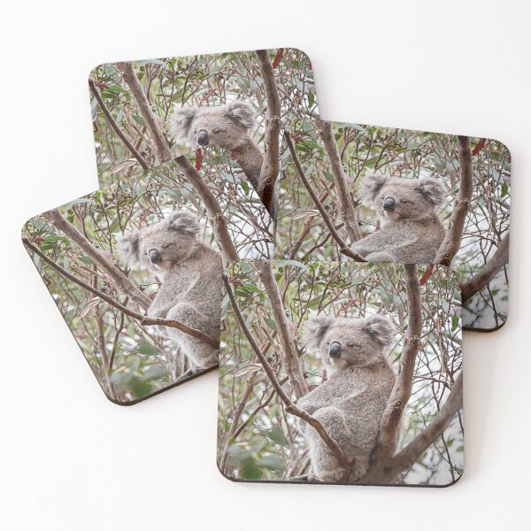 Item preview, Koala designed and sold by Catherine Reading.