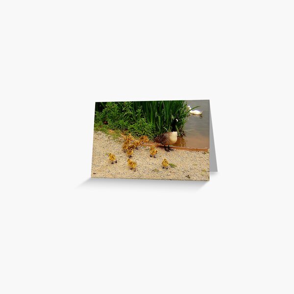 Family outing... Greeting Card