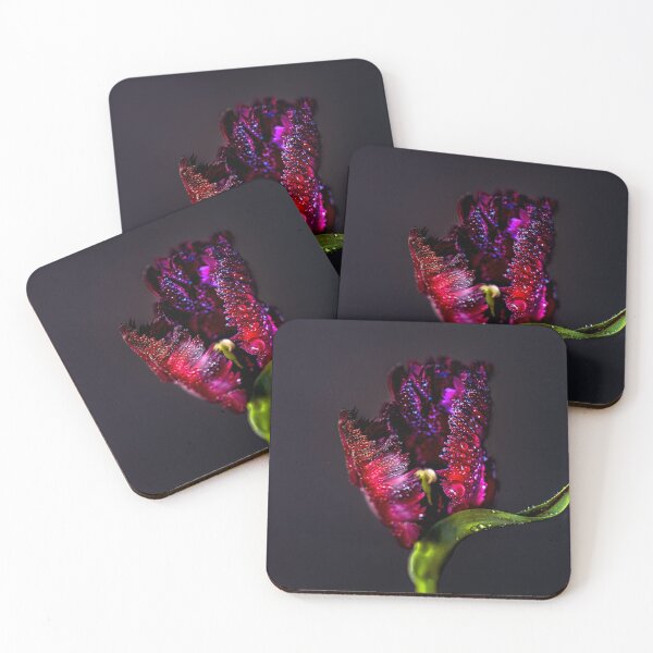 Item preview, Black parrot tulip designed and sold by jillianbutolphphoto.