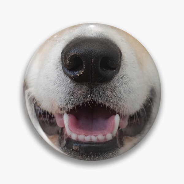 Item preview, Corgi designed and sold by Steven  Lippis.