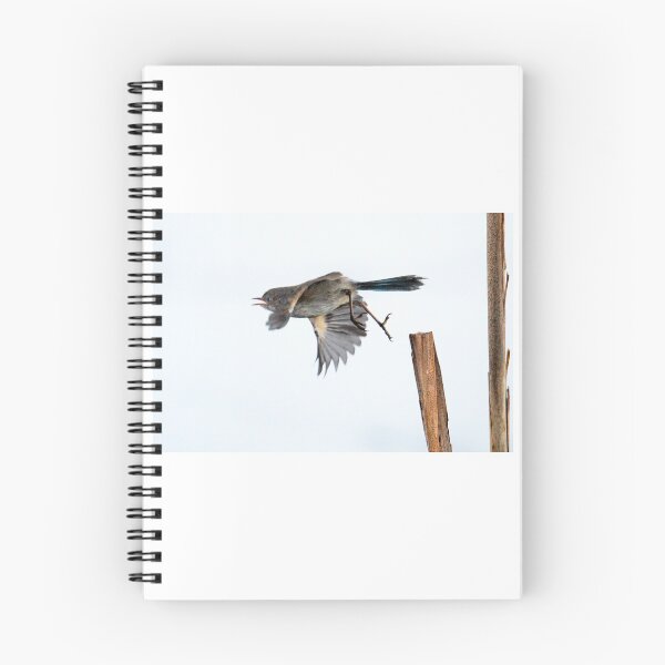 Item preview, Wren taking off designed and sold by nadine henley.