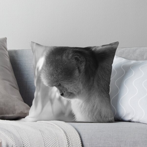 Item preview, Monkey Looking Down designed and sold by rhamm.