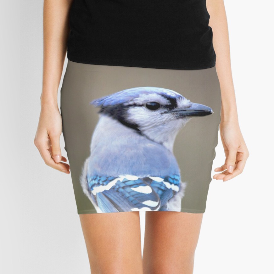 Cute Blue Jay Throws Me a Come Hither Look Poster for Sale by