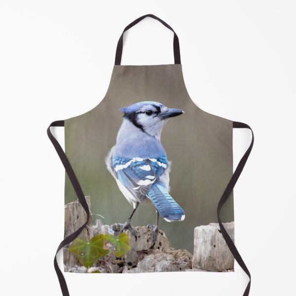 Item preview, Cute Blue Jay Throws Me a "Come Hither" Look designed and sold by walkswithnature.