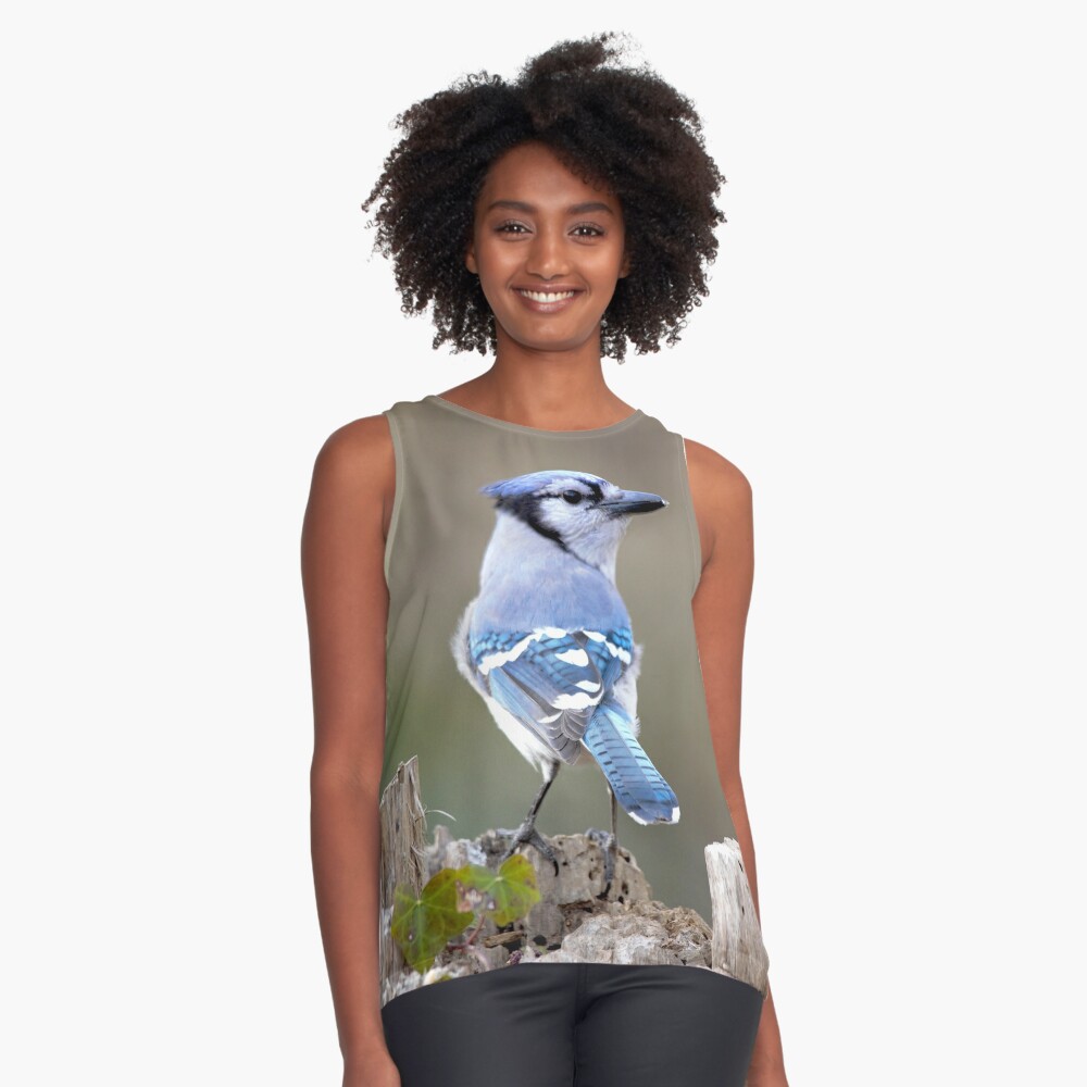 Cute Blue Jay Throws Me a Come Hither Look Poster for Sale by