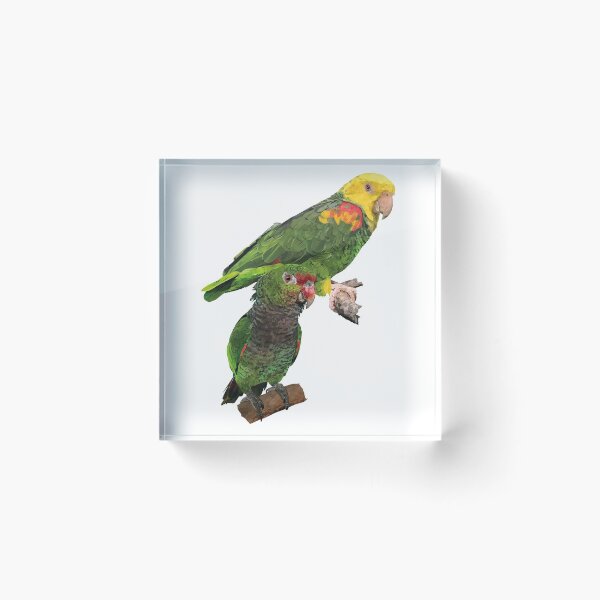 Item preview, Amazon parrots designed and sold by obscurite.