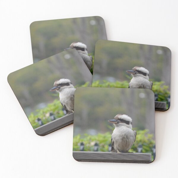 Item preview, A kookaburra sitting on a wooden fence. designed and sold by EAnneH.