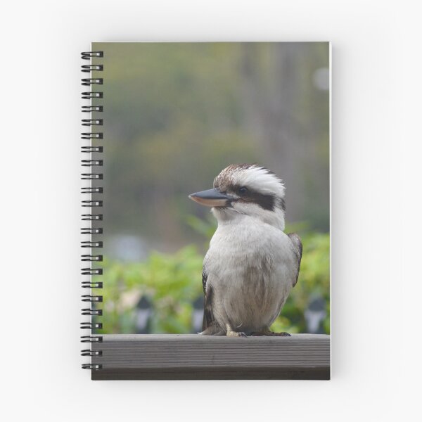Item preview, A kookaburra sitting on a wooden fence. designed and sold by EAnneH.