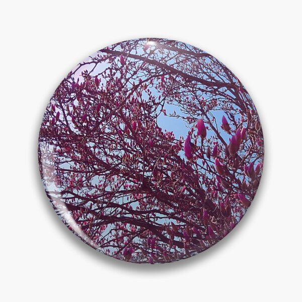 Item preview, Magnolia Liliiflora Tree in the Sunlight designed and sold by Mothe3rd.