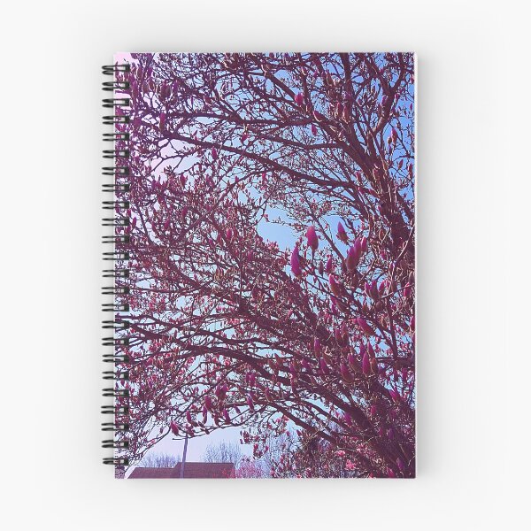 Item preview, Magnolia Liliiflora Tree in the Sunlight designed and sold by Mothe3rd.