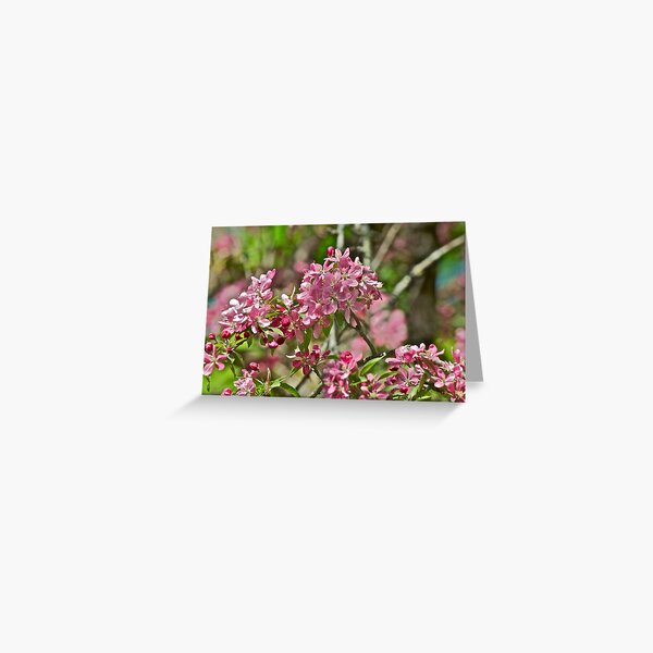 Item preview, Pink Crabapple 2 designed and sold by Carolyn Clark.
