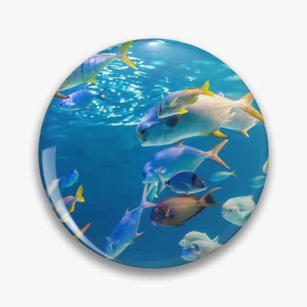 Item preview, Fish Under Water Photography designed and sold by JTS STORE.