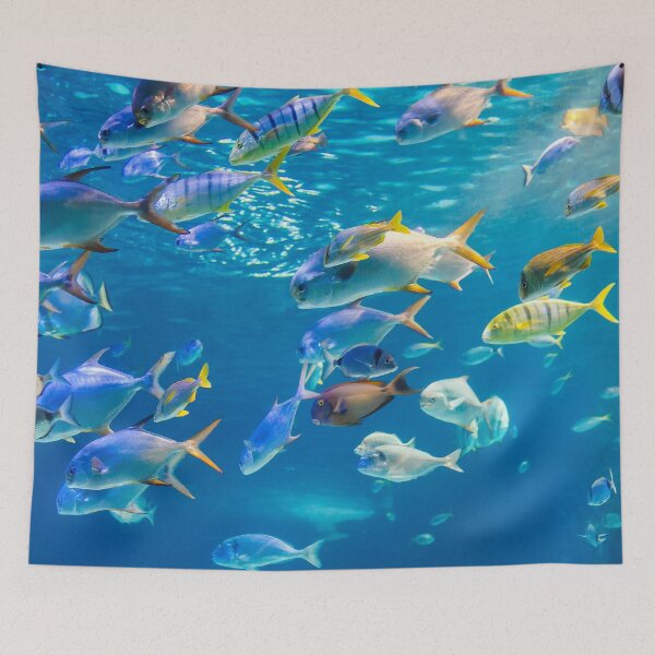 Item preview, Fish Under Water Photography designed and sold by JTS STORE.