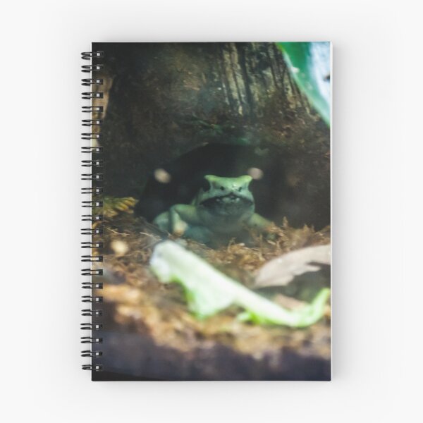 Item preview, Hazy Morning designed and sold by Sivyer Photography.